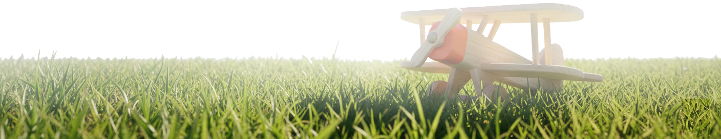 Decorative footer image